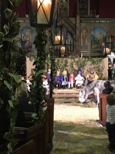 Crib Service with Bayleaf the Donkey